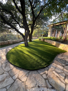 Lawn Turf