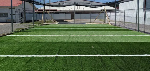 Artificial Turf with Lines