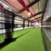 Batting Cage Turf for Sale