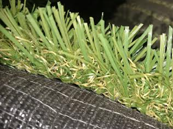 Turf with Thatch