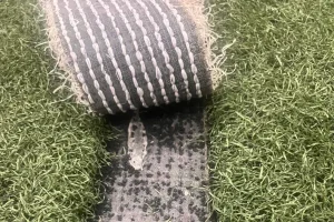 Inlaid White Turf Line Repair